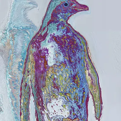 #37