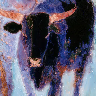 #83