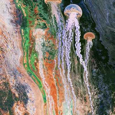 #69