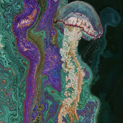 #58