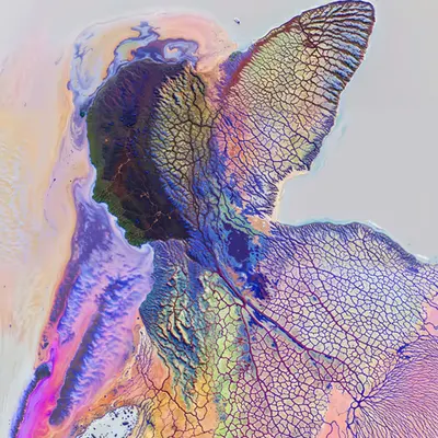 #24