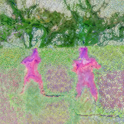 59.6738912, 10.6057843