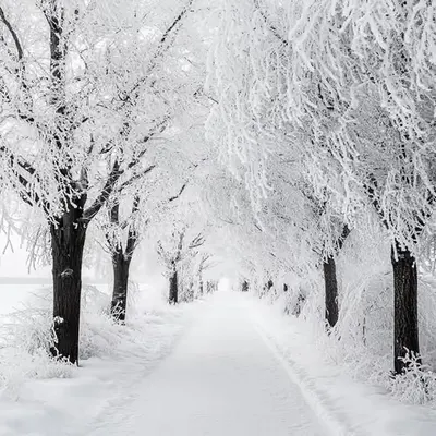 Wintertime .1