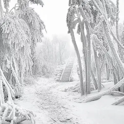 Wintertime .4