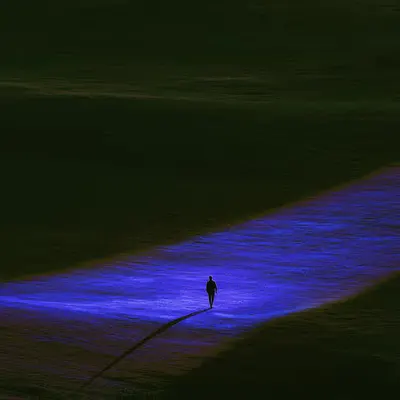 Path to Nowhere
