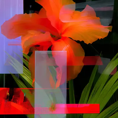 Transcendent Flame