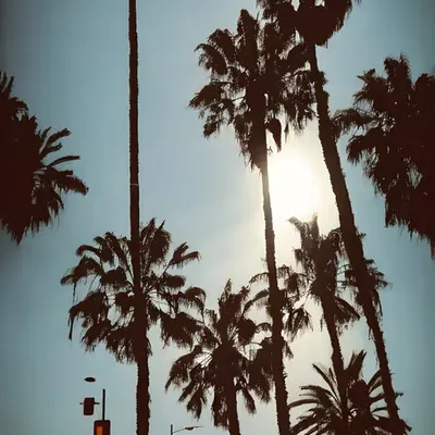 A Love Letter to Los Angeles, 2011–2023