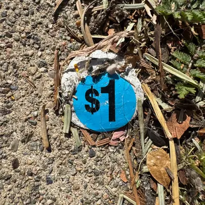 Two Blue Stickers to Get a Straight Line