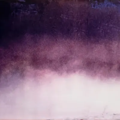 Untitled (a purple veil of twilight)