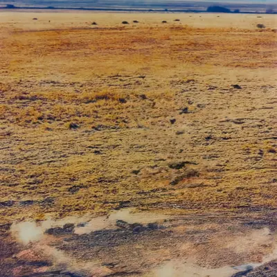Untitled (prairie lands infinite)