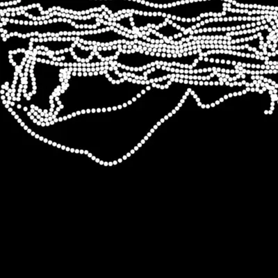 Chain #19