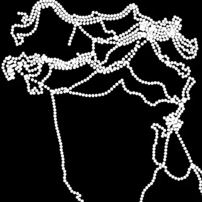 Chain #28