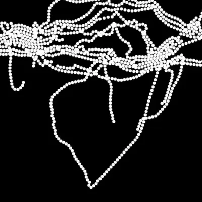 Chain #31