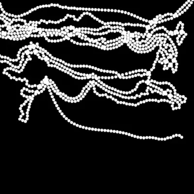 Chain #24