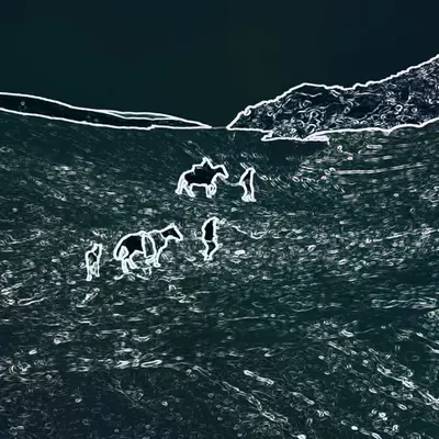 cyberspace at night