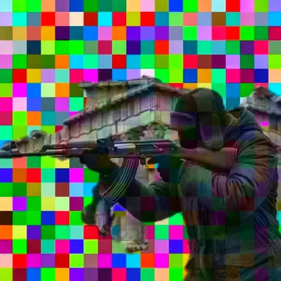 The Drone Hunters
