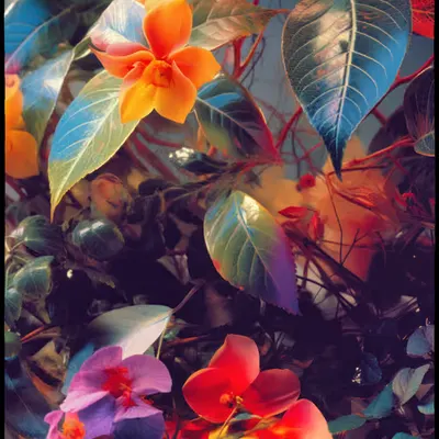 "tacet locus" - BEAUTY & SUSPENSE 07