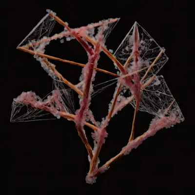 EVOL - essence 09
