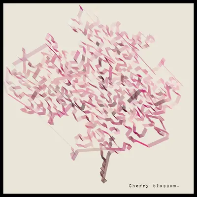 Cherry blossom