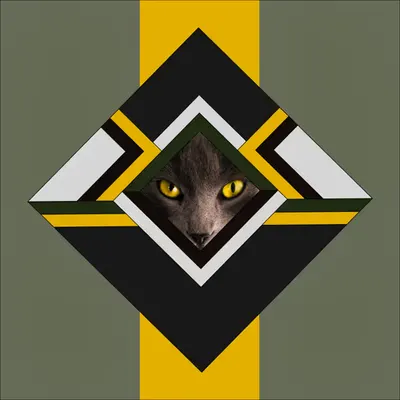 Cat in the Diamond