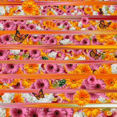 Between Flowers and Wings