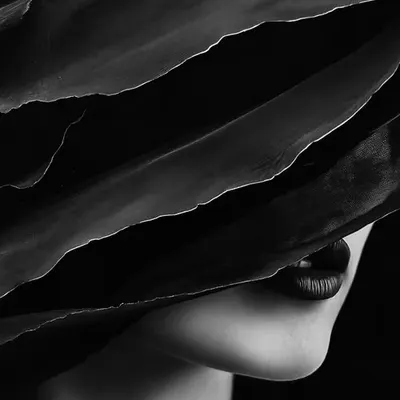 darkness 1262