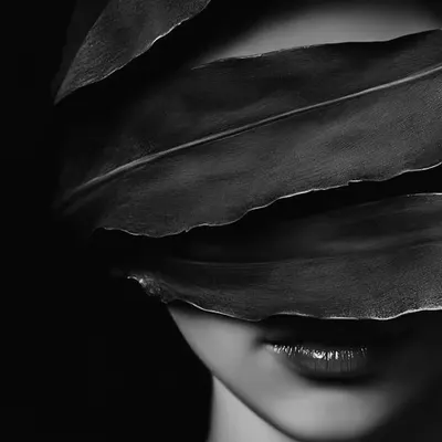 darkness 1642