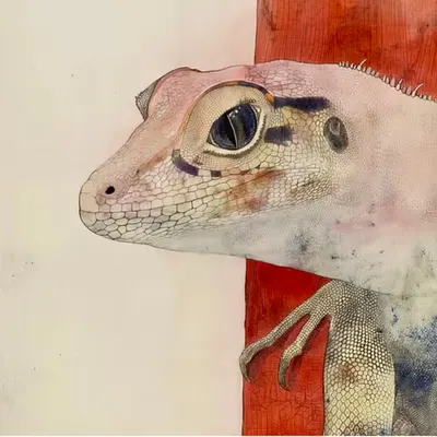 Lizard