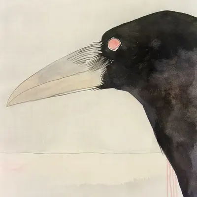 Raven