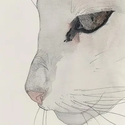 SKCREAT.1.08