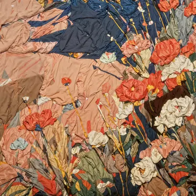Petals in the Wrinkle