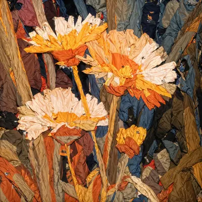 Worn Towards Bloom