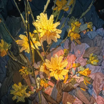 Light Threaded Through bloom