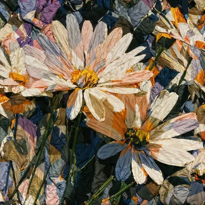 Thread Between Petals