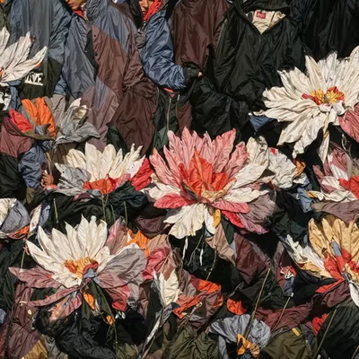 After Texture, Bloom