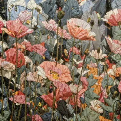 Between Fit and Flora