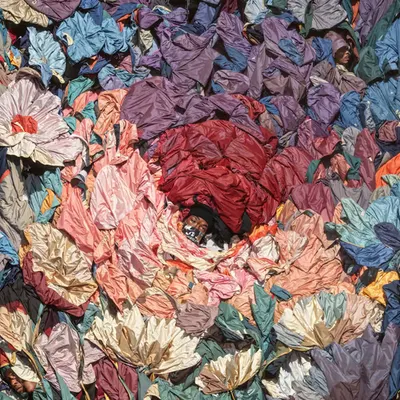 We Bloomed Over