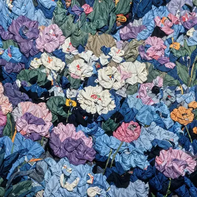 Where It Bunched and Bloomed