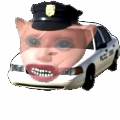 0 0