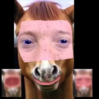 🐴