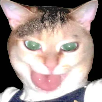 0 0