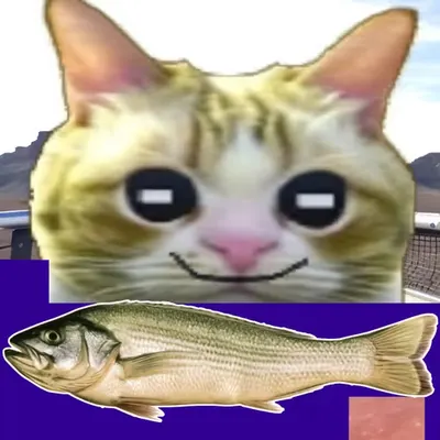0 0 1
