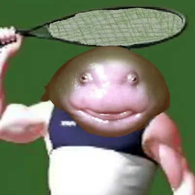 🎾