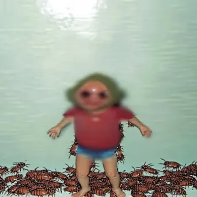 🪳