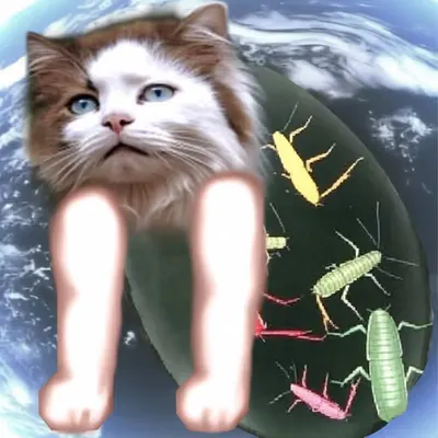 ccc