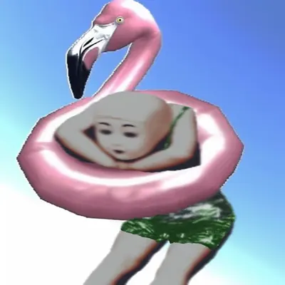 🦩