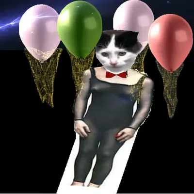 www