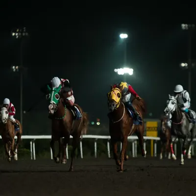 Night Race