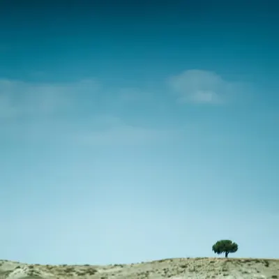 Eden
