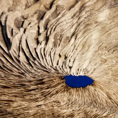 The Hole